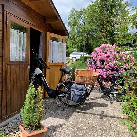 Apartment Am Hohen Bogen-50 By Interhome アルラッハ エクステリア 写真